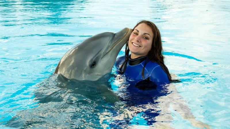 Swimming with the Dolphins (May, June & September) - Malta Excursions ...